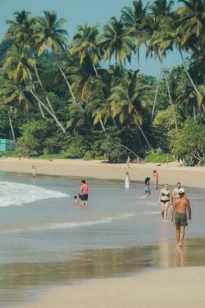 Royal Gate Holiday Sri Lanka (13)