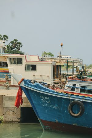 Royal Gate Holiday Sri Lanka (18)
