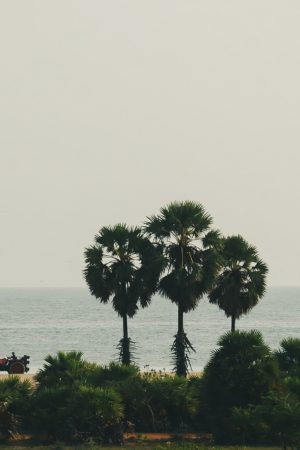 Royal Gate Holiday Sri Lanka (20)