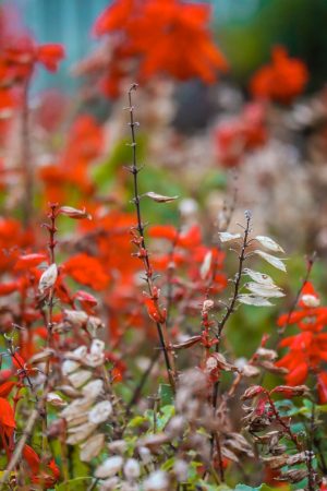 Royal Gate Holiday Sri Lanka (22)