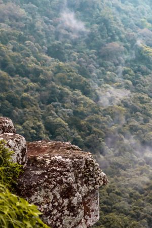 Royal Gate Holiday Sri Lanka (25)